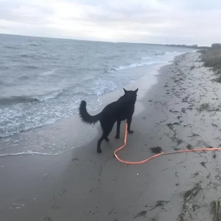 Apartment Strandperle 2 - A78241