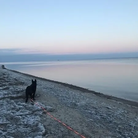 Strandperle 2 - A78241 Apartment *