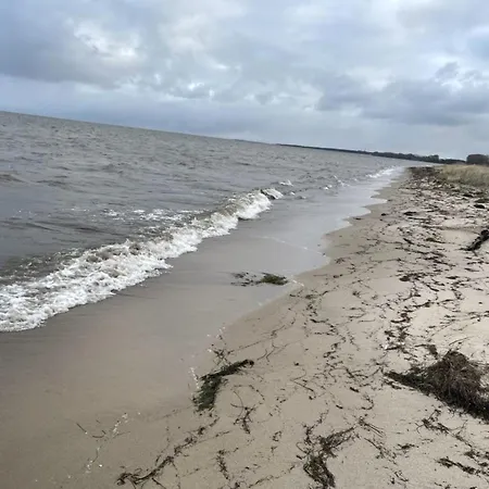 Strandperle 2 - A78241 Apartment Loissin